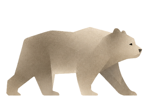 ORSA